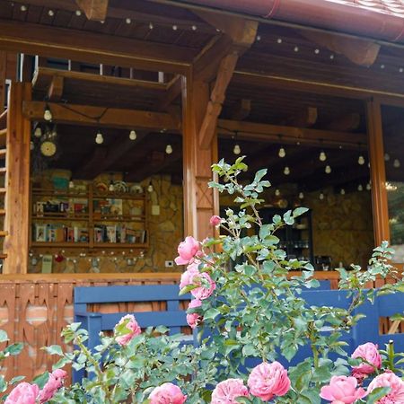 Bed and Breakfast Rose Hip Hill Farm Valea Tirnei Exterior foto
