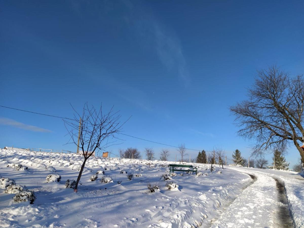 Bed and Breakfast Rose Hip Hill Farm Valea Tirnei Exterior foto