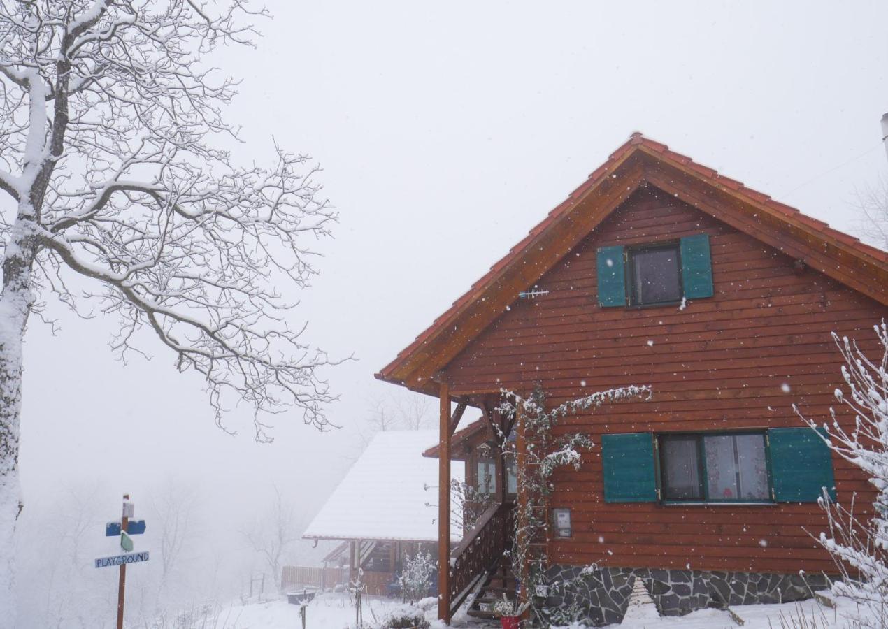 Bed and Breakfast Rose Hip Hill Farm Valea Tirnei Exterior foto