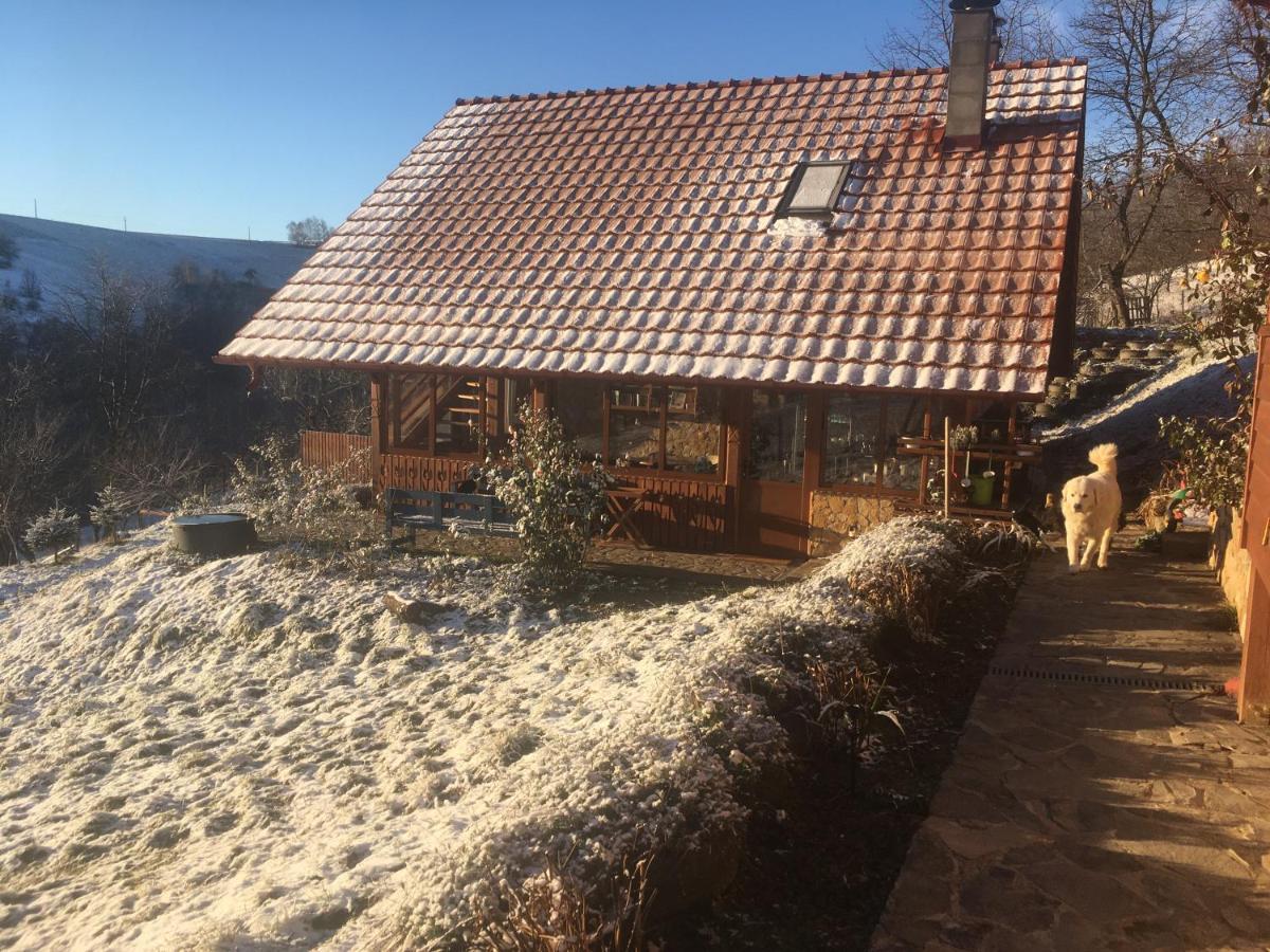 Bed and Breakfast Rose Hip Hill Farm Valea Tirnei Exterior foto